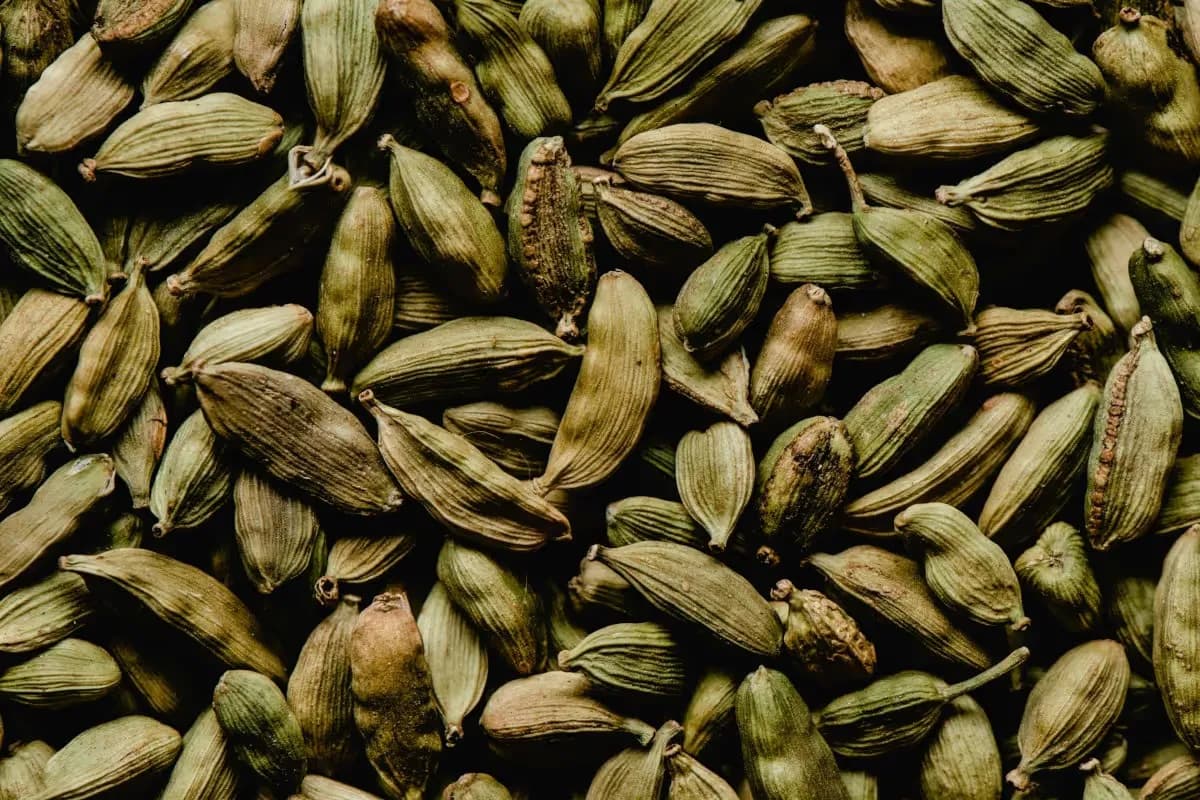 The Eastern Ghats: Cardamom